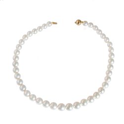 Single Strand of South Sea Pearls