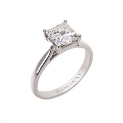 Platinum Princess Cut Diamond Engagement Ring