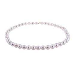 Akoya Cultured Pearl Necklet