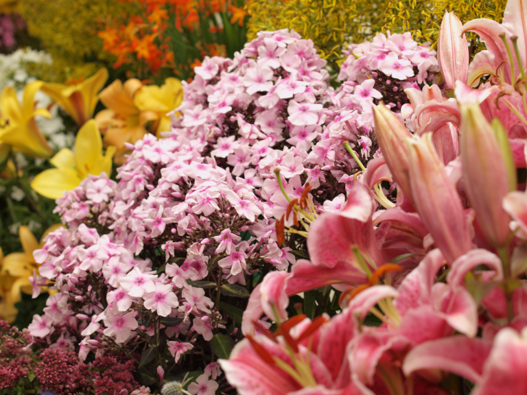 What to Wear to a Flower Show | Hancocks Jewellers
