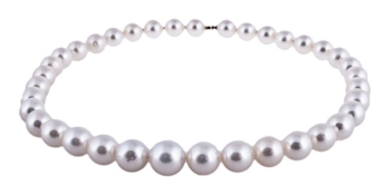 South Sea Pearls