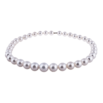 South Sea Pearls